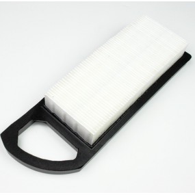 FILTRE A AIR POUR Tondeuse thermique BRIGGS