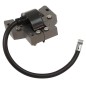 Bobine d'allumage BRIGGS & STRATTON 793281 Bobine d'allumage BRIGGS & STRATTON 793281