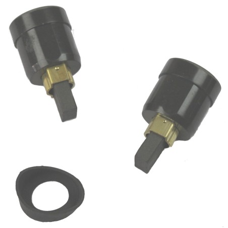 Ensemble charbons scie sabre AEG Powertools US1300XE