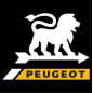 Courroie 309081 pour rabots PEUGEOT RA400 - RA682